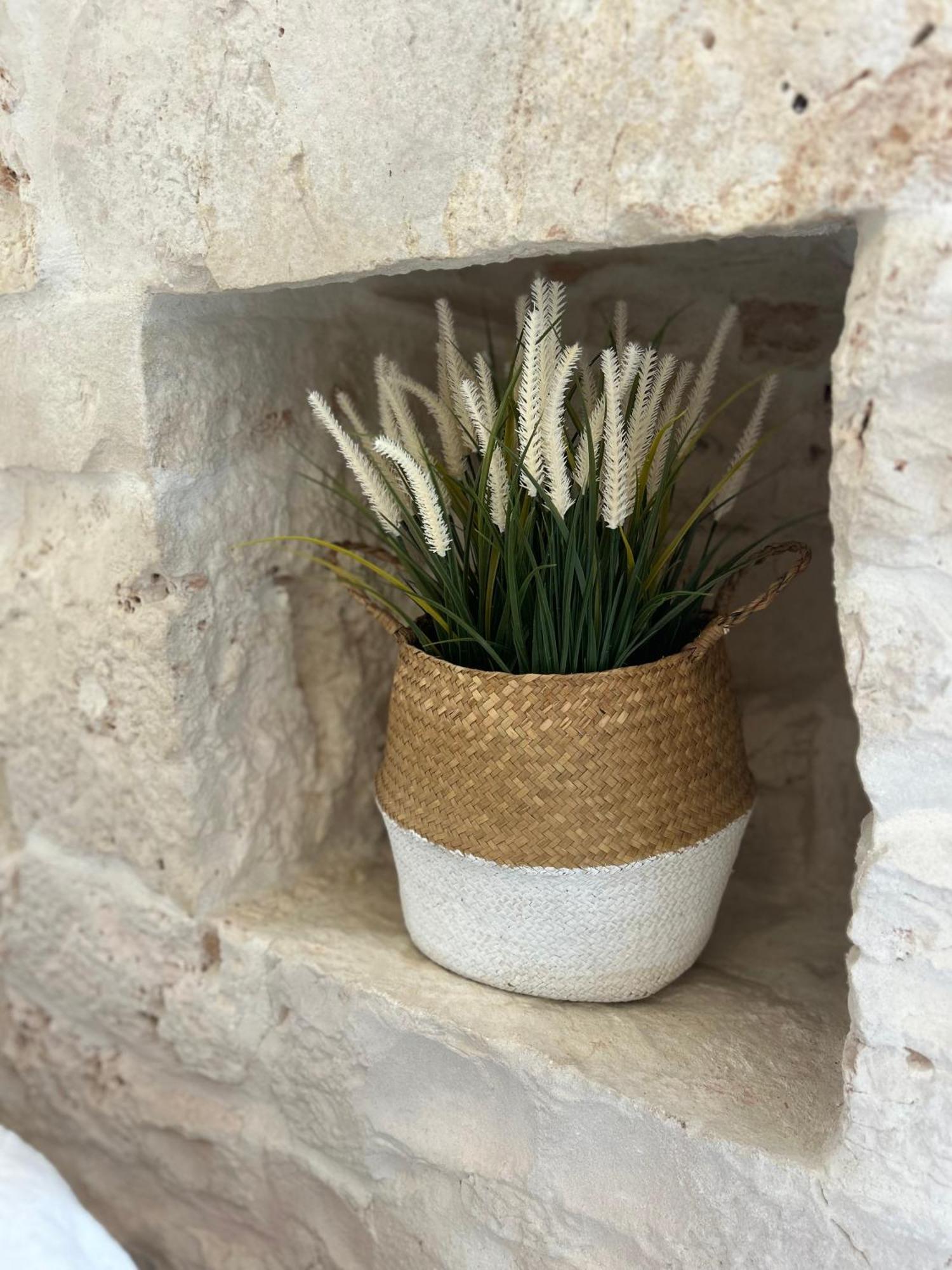 Trulli In Contrada - Monopoli ξενώνας Εξωτερικό φωτογραφία